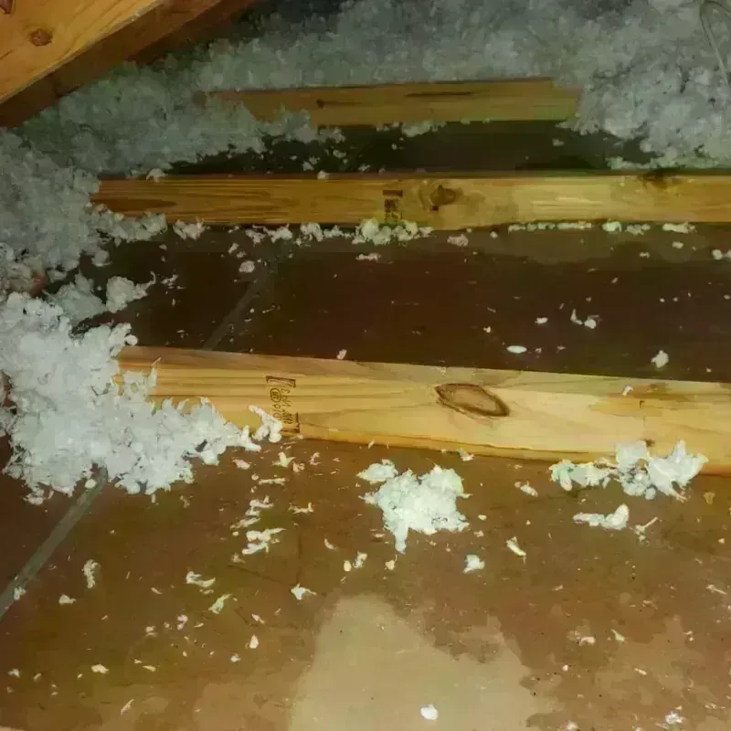 Attic Water Damage in Appleton, MN