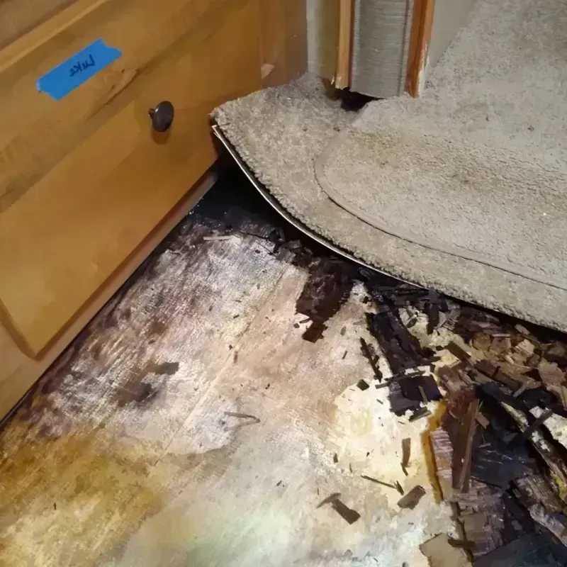 Wood Floor Water Damage in Appleton, MN